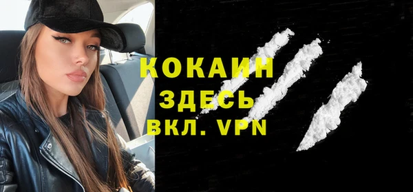 гидра Коряжма