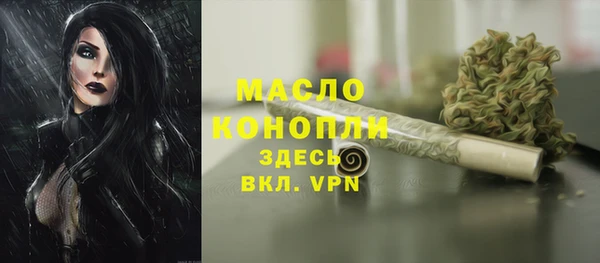 гидра Коряжма