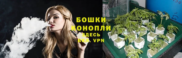 гидра Коряжма