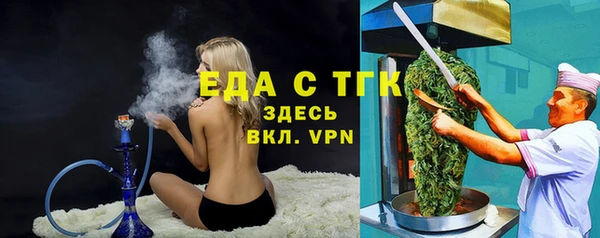 гидра Коряжма