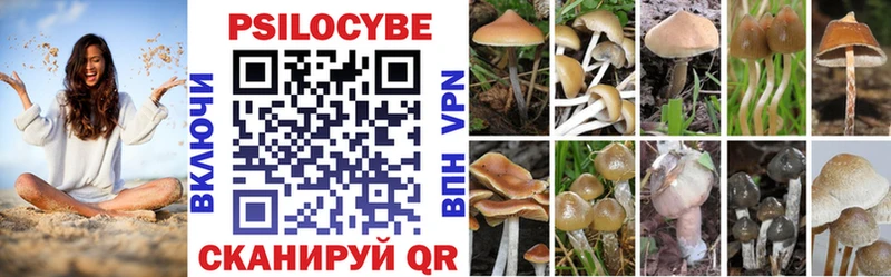 Галлюциногенные грибы прущие грибы наркотики Старый Крым